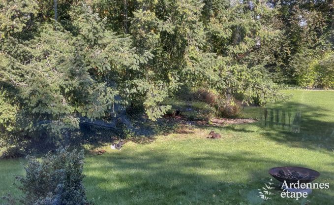 Cottage in Wellin voor 12 personen in de Ardennen